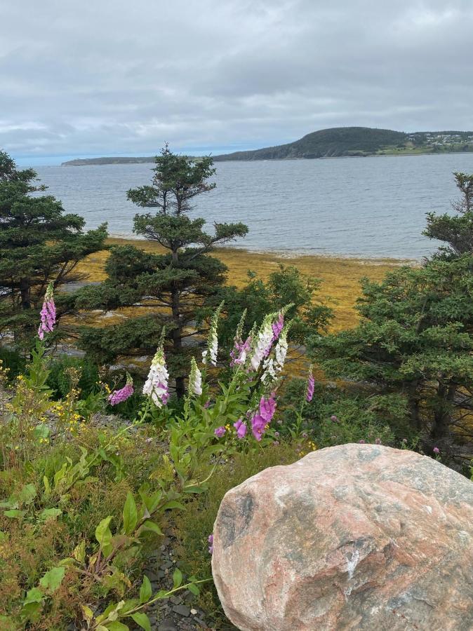 Villa Rocky Harbour Oceanfront Extérieur photo