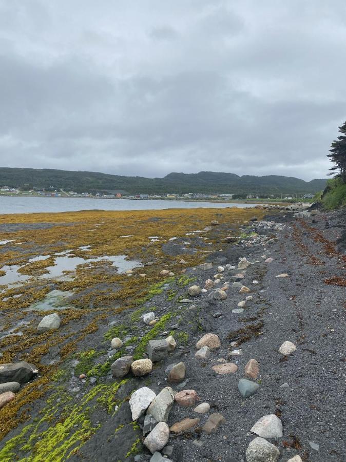 Villa Rocky Harbour Oceanfront Extérieur photo